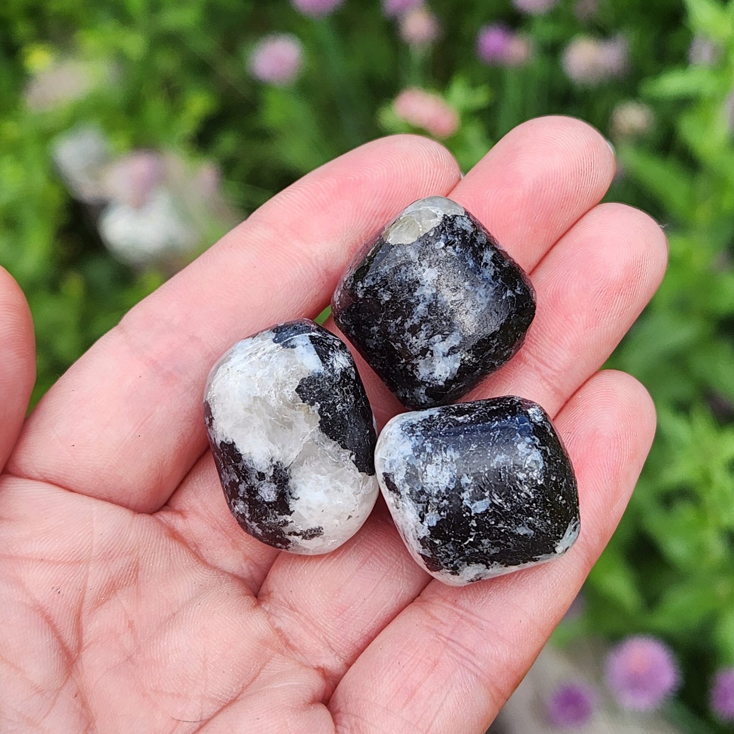 Black Tourmaline in Quartz