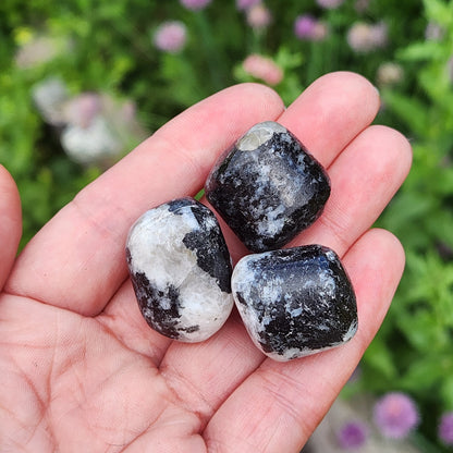 Black Tourmaline in Quartz