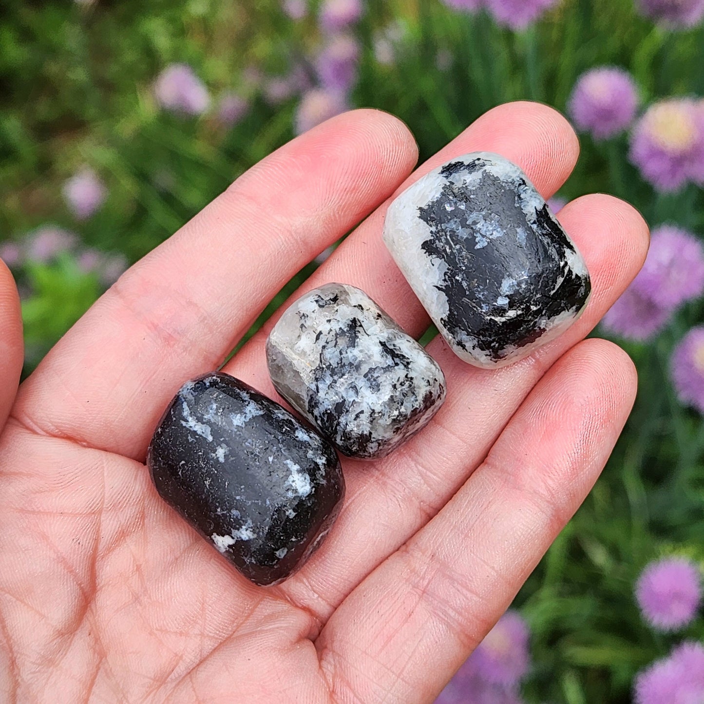 Black Tourmaline in Quartz