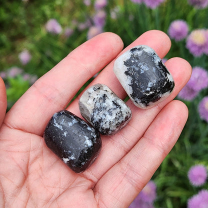 Black Tourmaline in Quartz