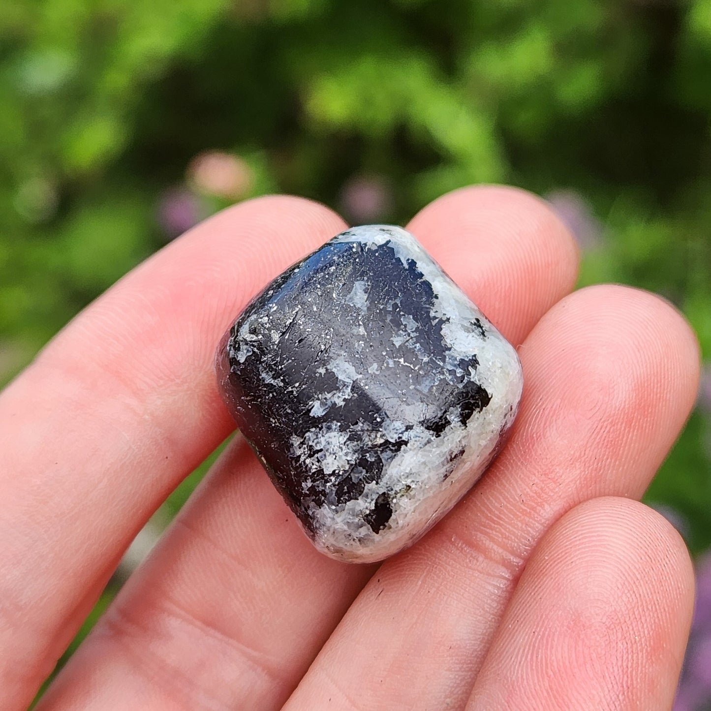 Black Tourmaline in Quartz