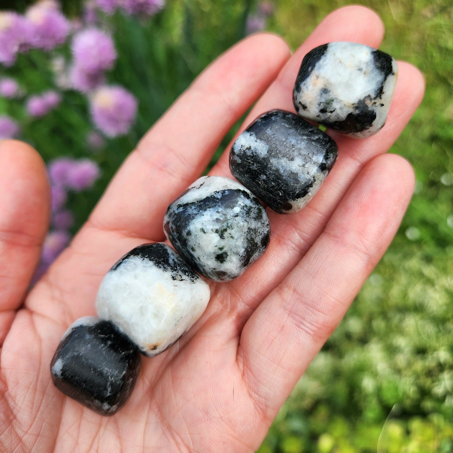 Black Tourmaline in Quartz