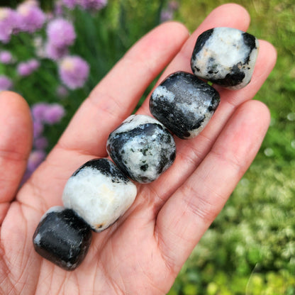 Black Tourmaline in Quartz