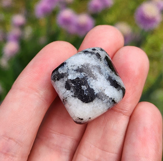 Black Tourmaline in Quartz