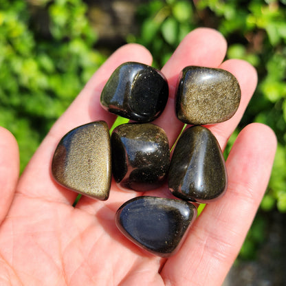 Golden Sheen Obsidian