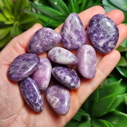 Lepidolite Tumbled Stone