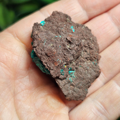 Dioptase Crystal Specimen: Raw and Natural Dioptase from the Congo