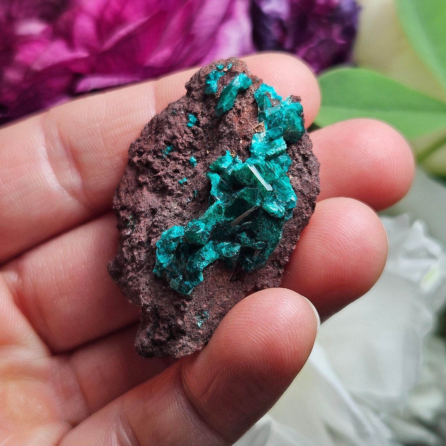 Dioptase Crystal Specimen: Raw and Natural Dioptase from the Congo