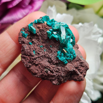 Dioptase Crystal