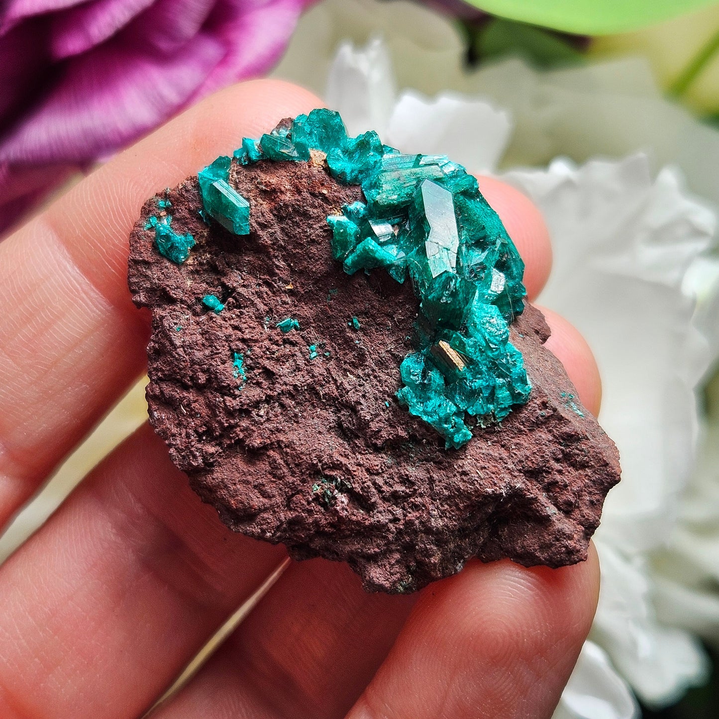 Dioptase Crystal Specimen 15.48g, Raw Congo Dioptase Stone