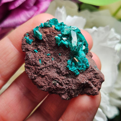 Dioptase Crystal Specimen 15.48g, Raw Congo Dioptase Stone