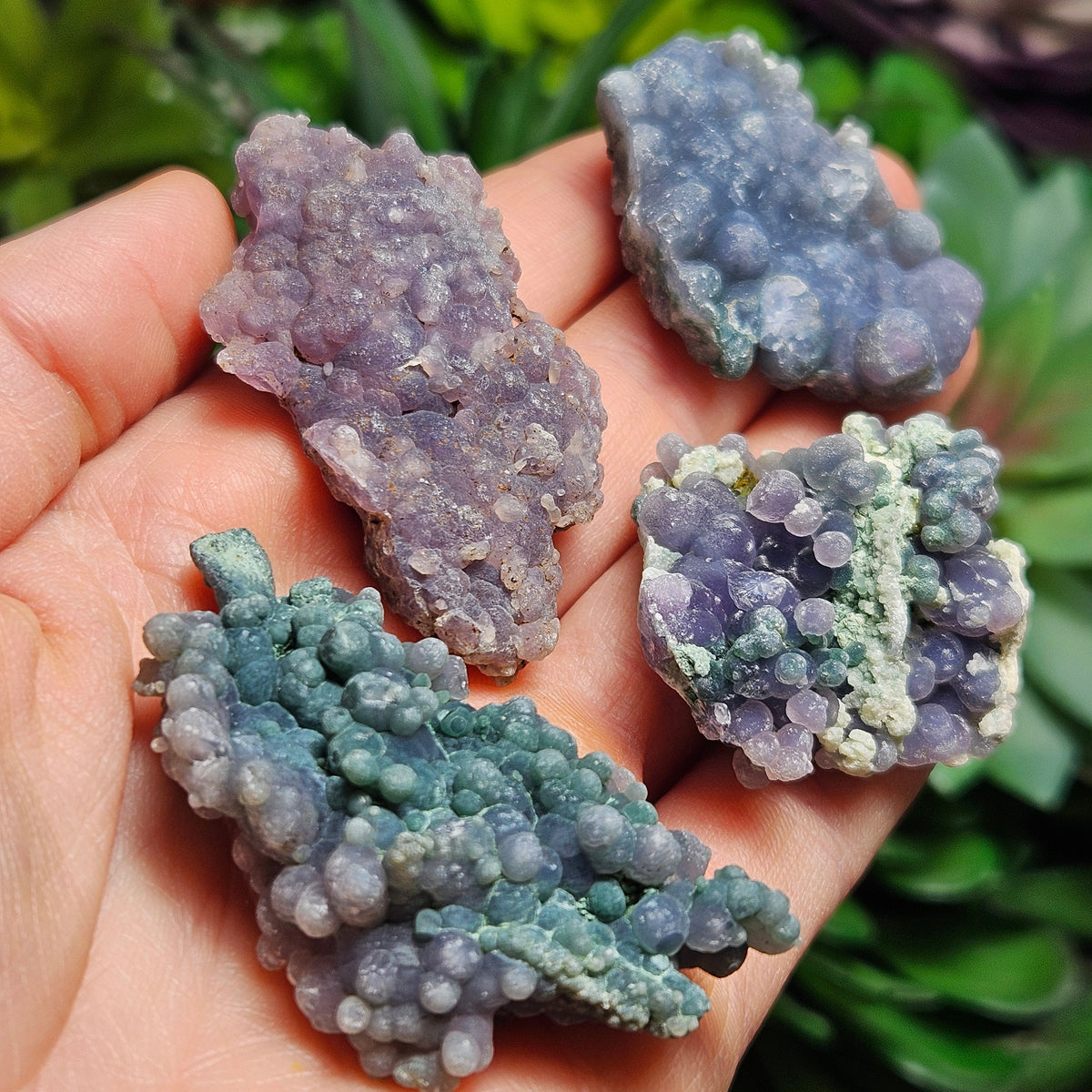 Grape Agate Crystal Cluster