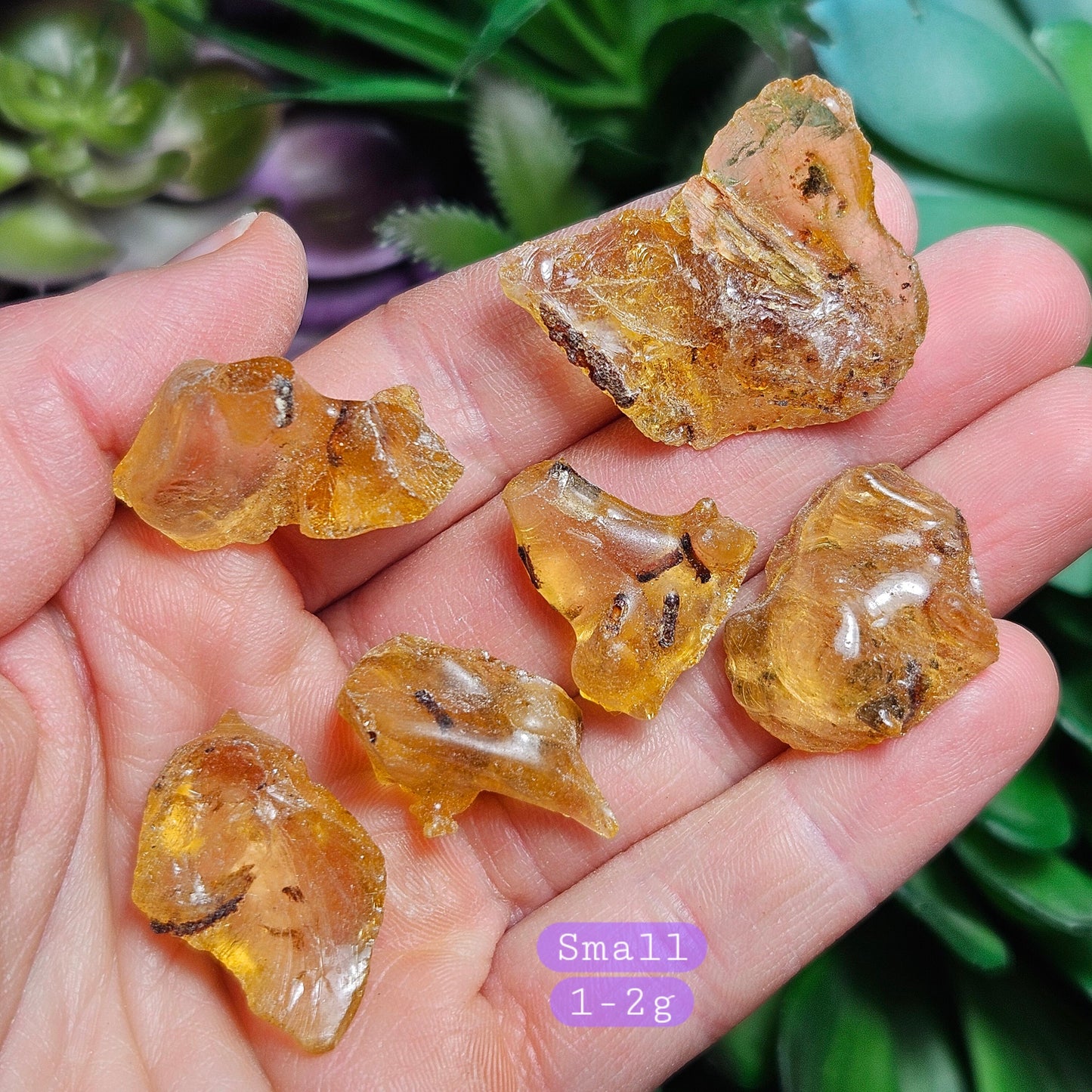 Amber with Insects