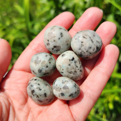Kiwi Jasper Crystal