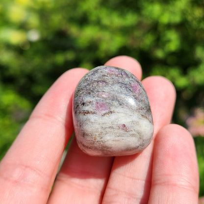 Astrophyllite Garnet Stone