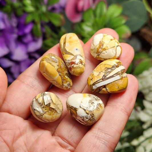 Brecciated Mookaite