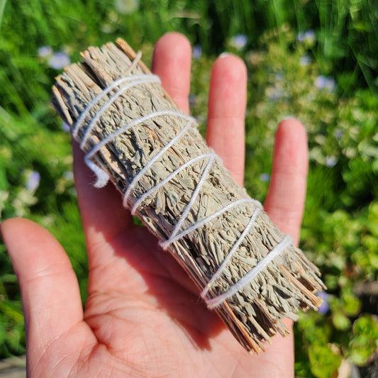 Blue Sage Smudge