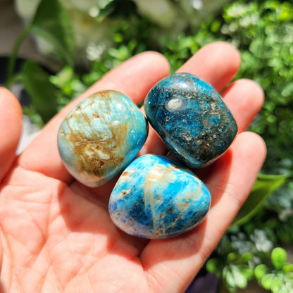 Blue Apatite Crystal