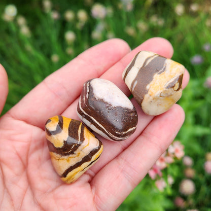 Red Zebra Jasper