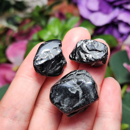 Black Tourmaline Tumbled