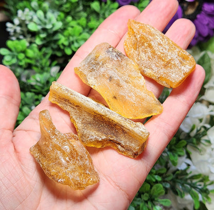 XL Natural Amber Specimen