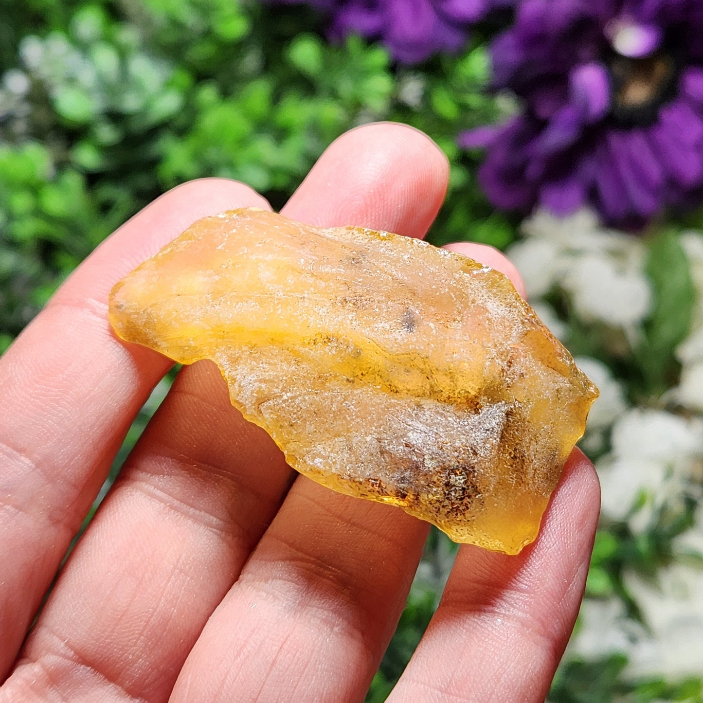XL Natural Amber Specimen