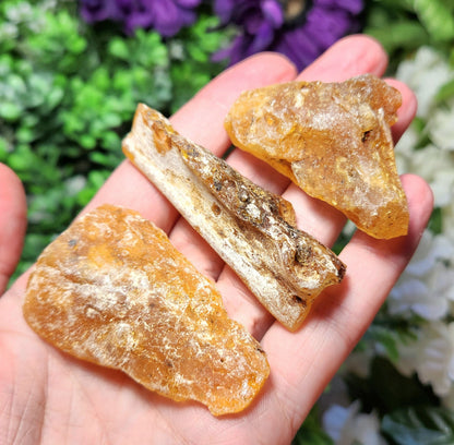 XL Natural Amber Specimen