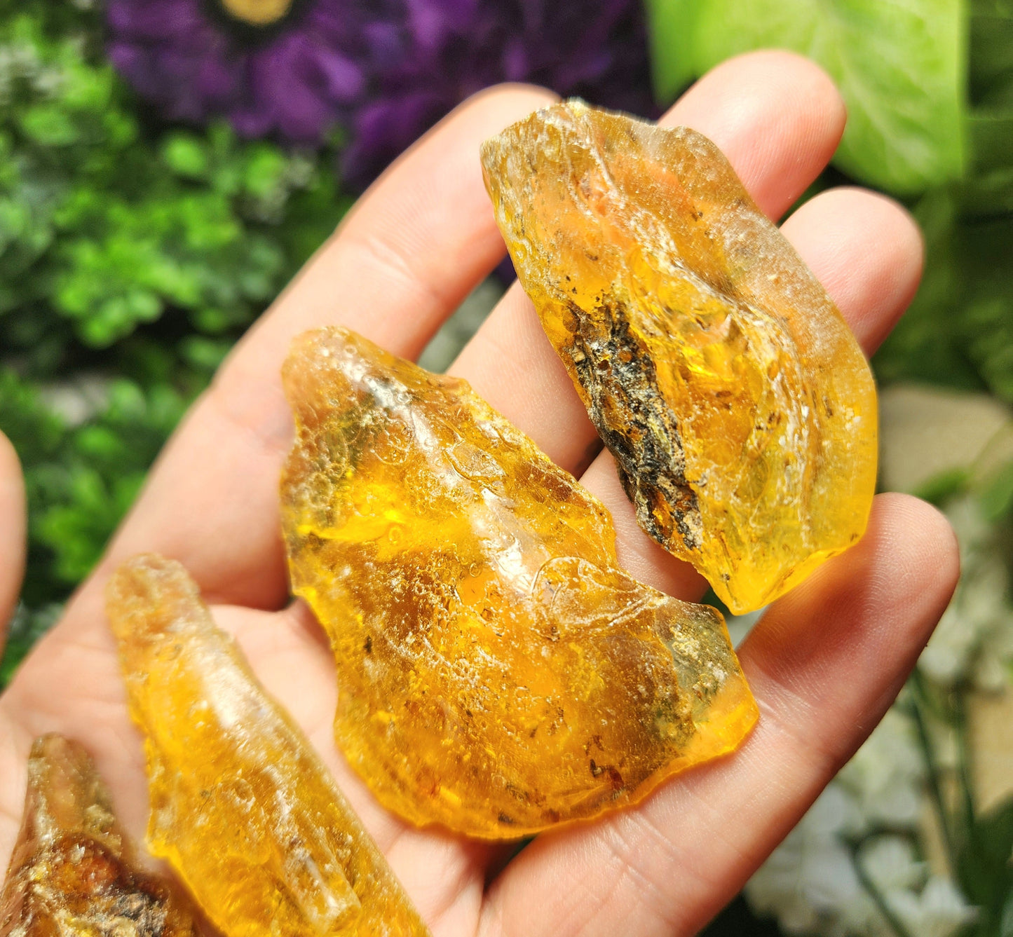 Amber with Insects
