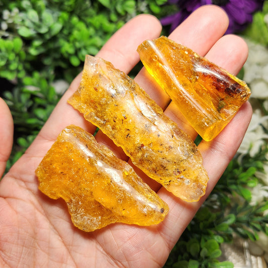Amber with Insects