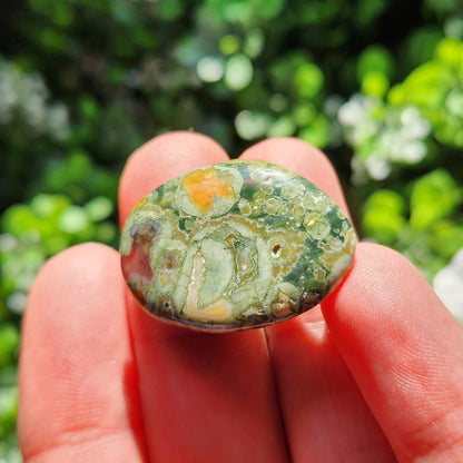 Rainforest Jasper Stone