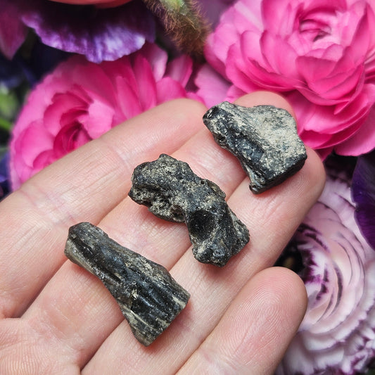 Darwinite Tektite