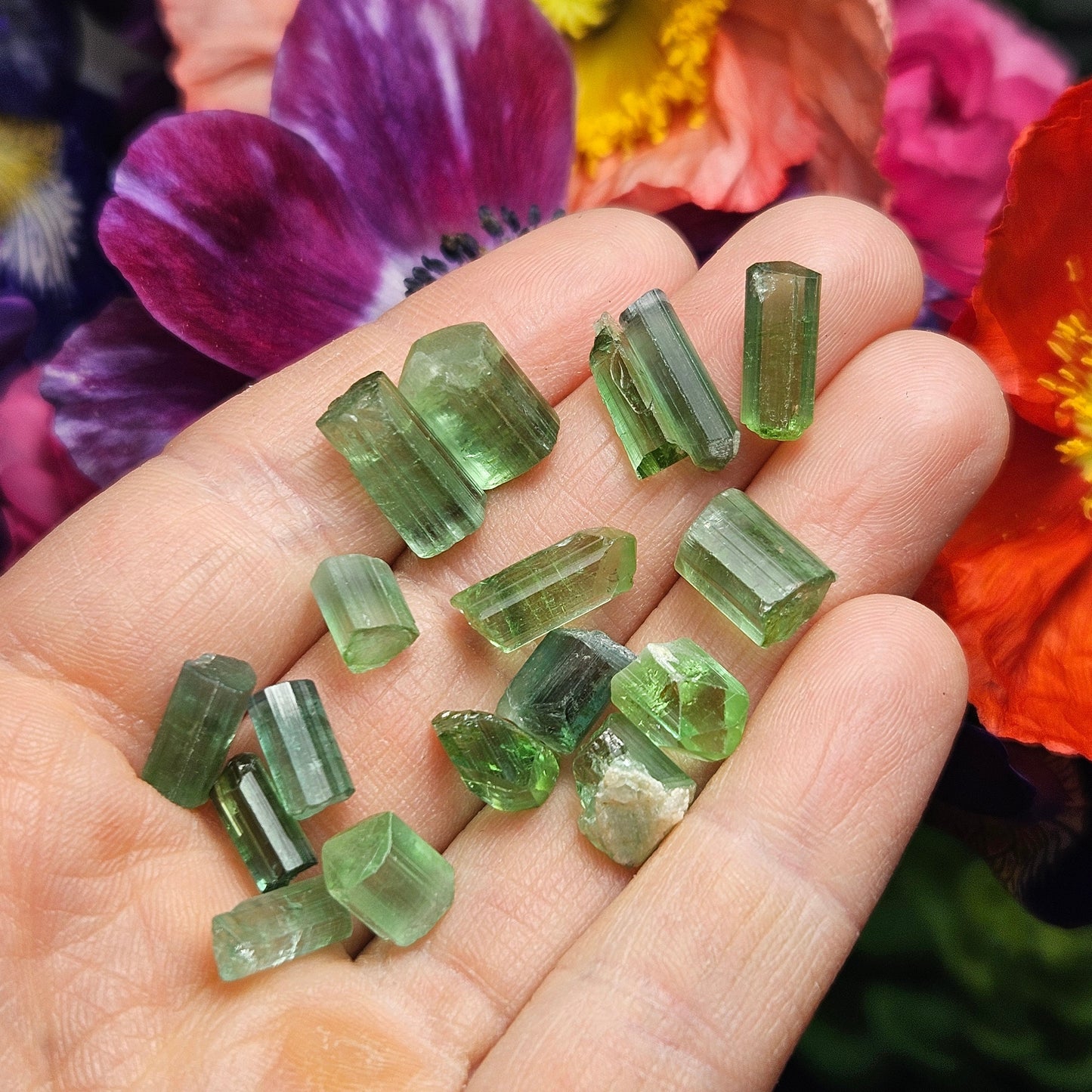Green Tourmaline Crystal