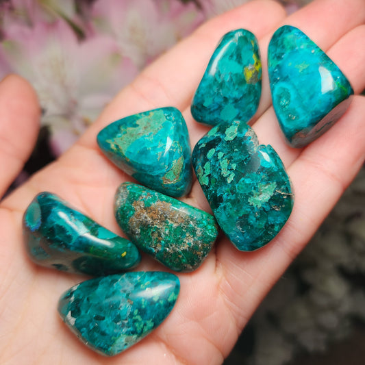 Polished Dioptase Crystal