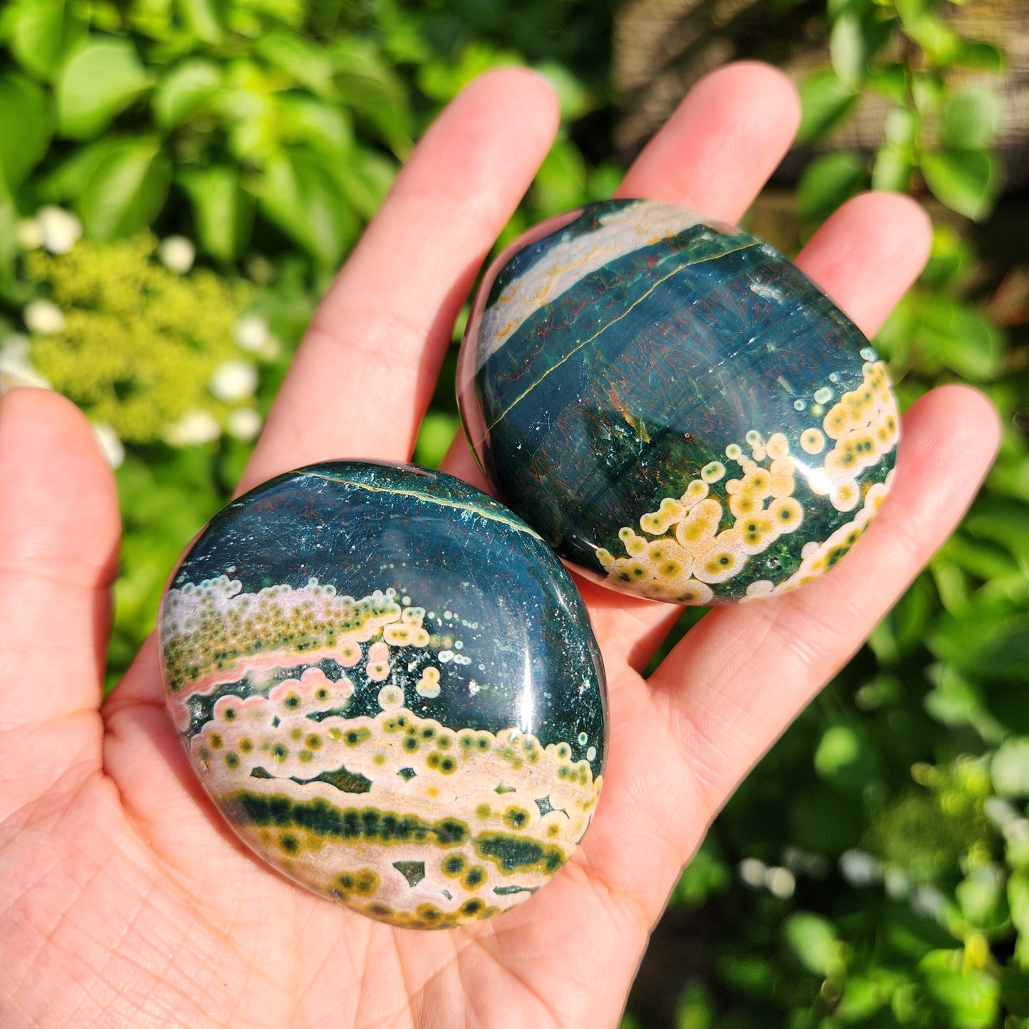 Ocean Jasper Palm Stone