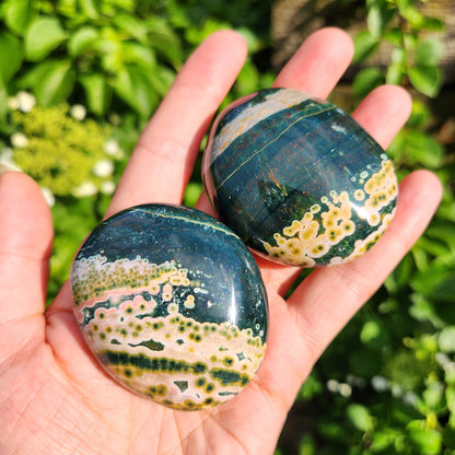 Ocean Jasper Palm Stone