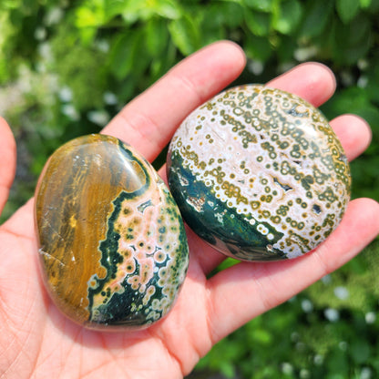 Ocean Jasper Palm Stone