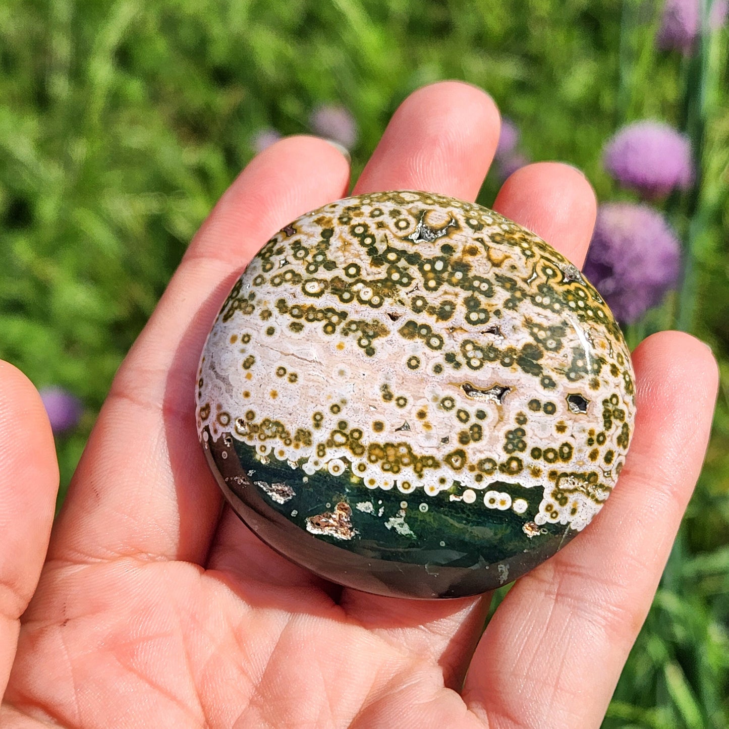 Ocean Jasper Palm Stone