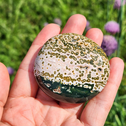 Ocean Jasper Palm Stone