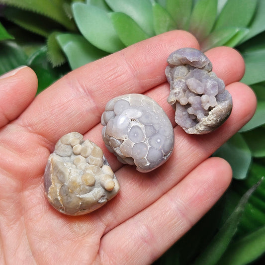 Grape Agate MISFITS