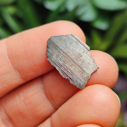 Brookite Blade Specimens