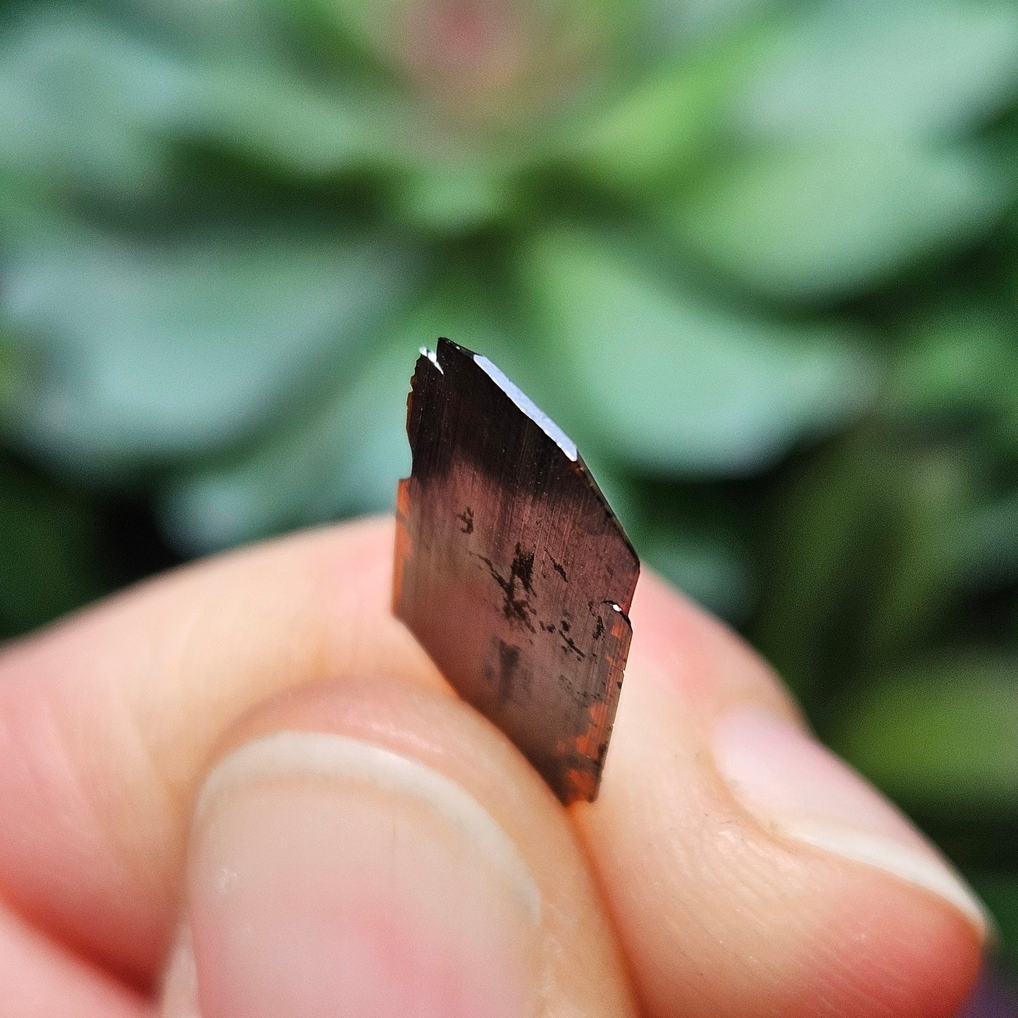 Brookite Blade Specimens