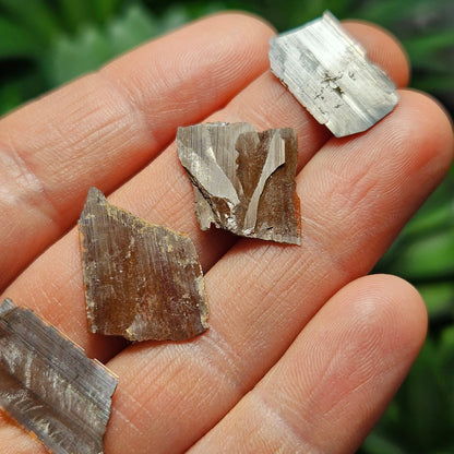 Brookite Blade Specimens