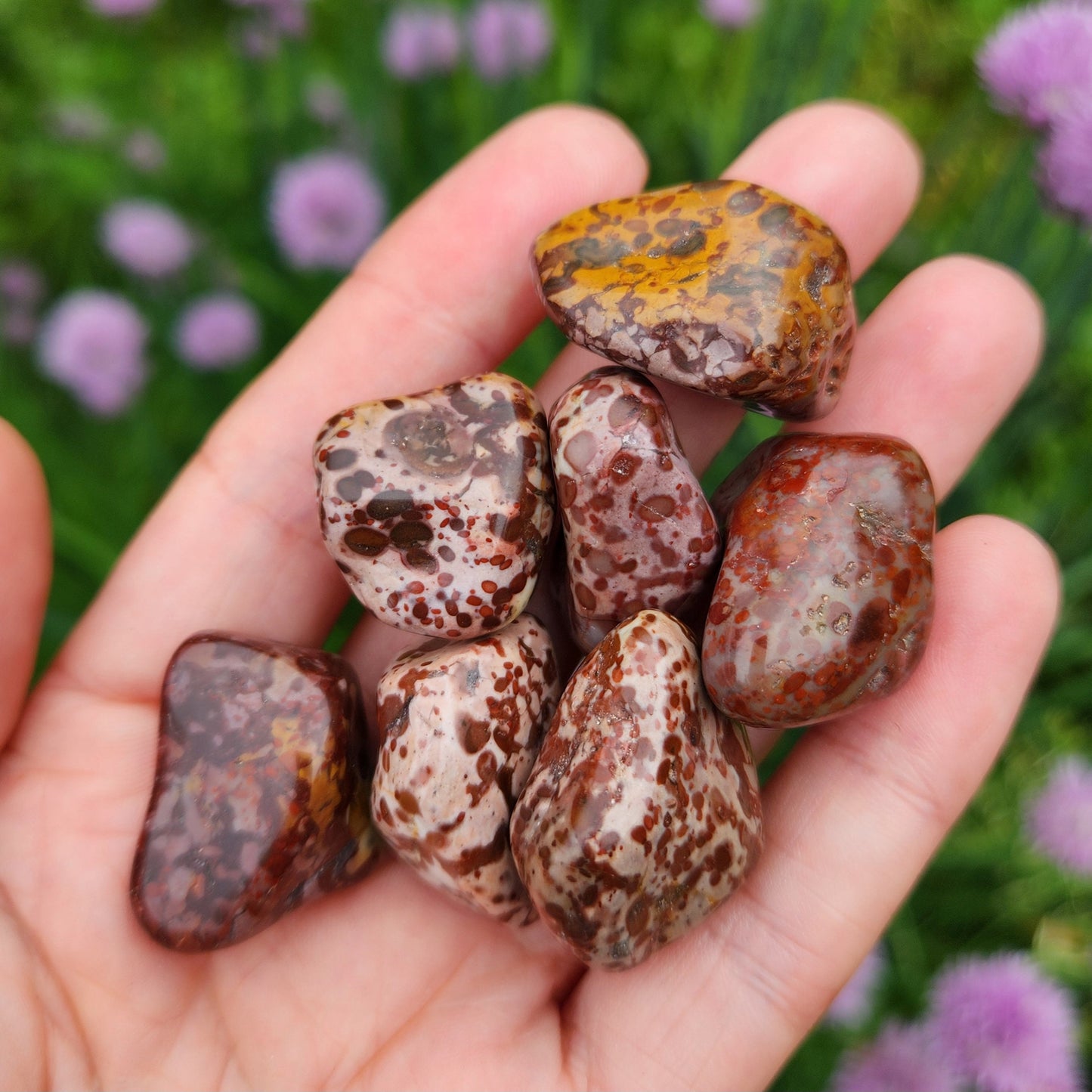 Leopard Skin Jasper