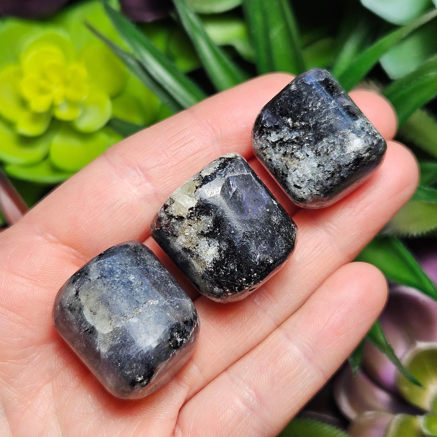 Tumbled Iolite