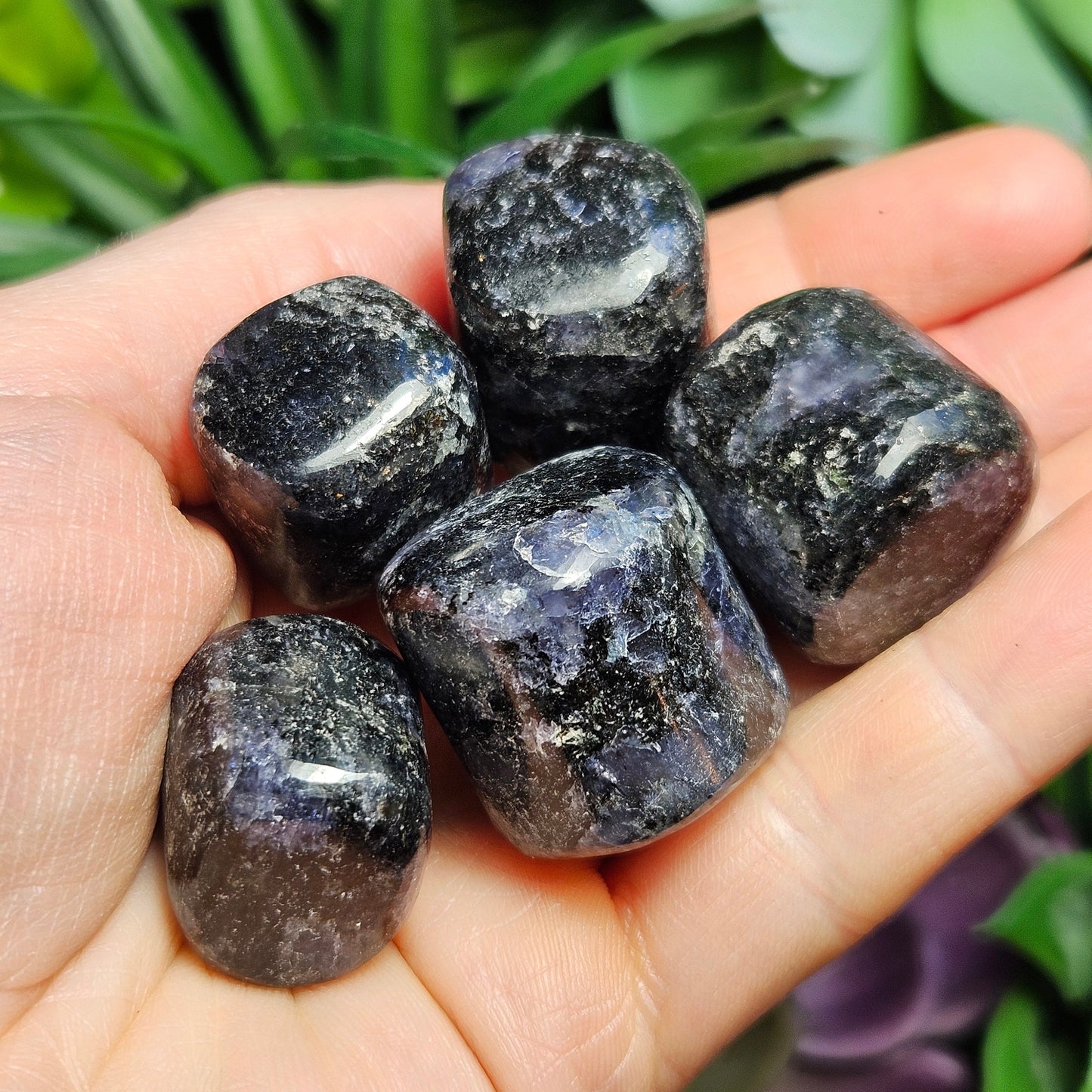 Tumbled Iolite
