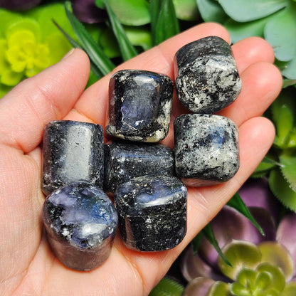 Tumbled Iolite