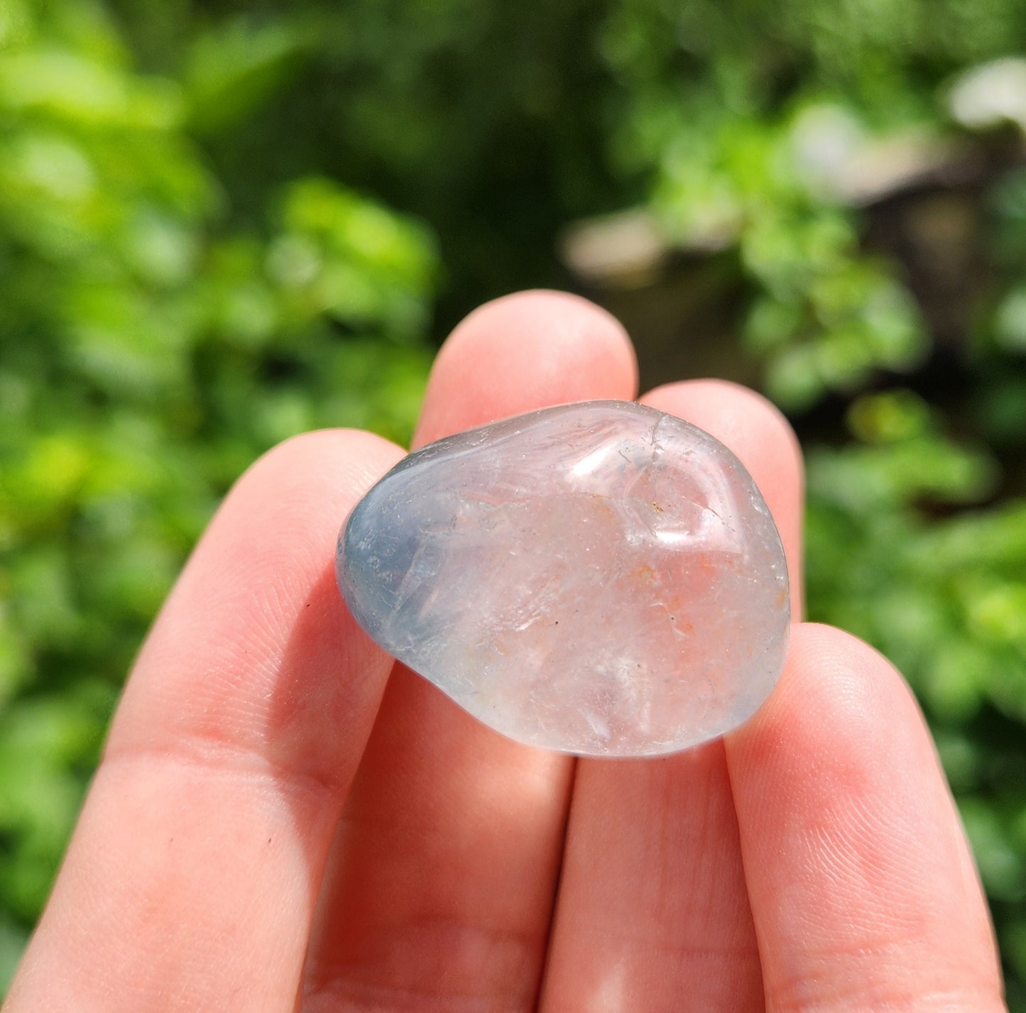 Blue Tara Nightshade Quartz