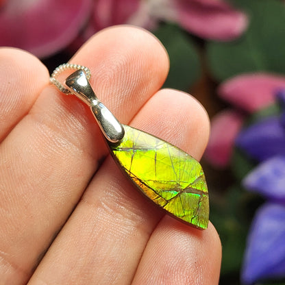 Ammolite Pendant