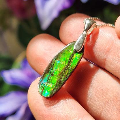 Ammolite Pendant