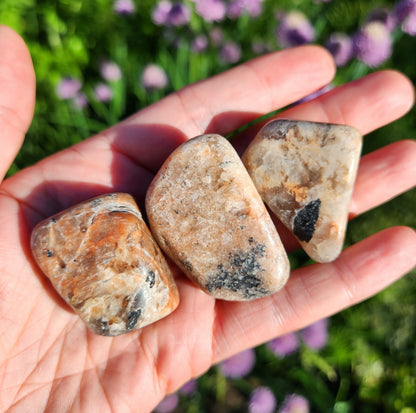 Moonstone with Black Tourmaline